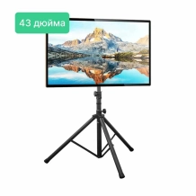 Аренда телевизора плазмы 43" на стойке