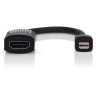 Аренда переходника Belkin Mini DisplayPort (Thunderbolt) [app][site]