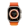 Аренда Apple Watch Ultra (ремешок Alpine) [site]